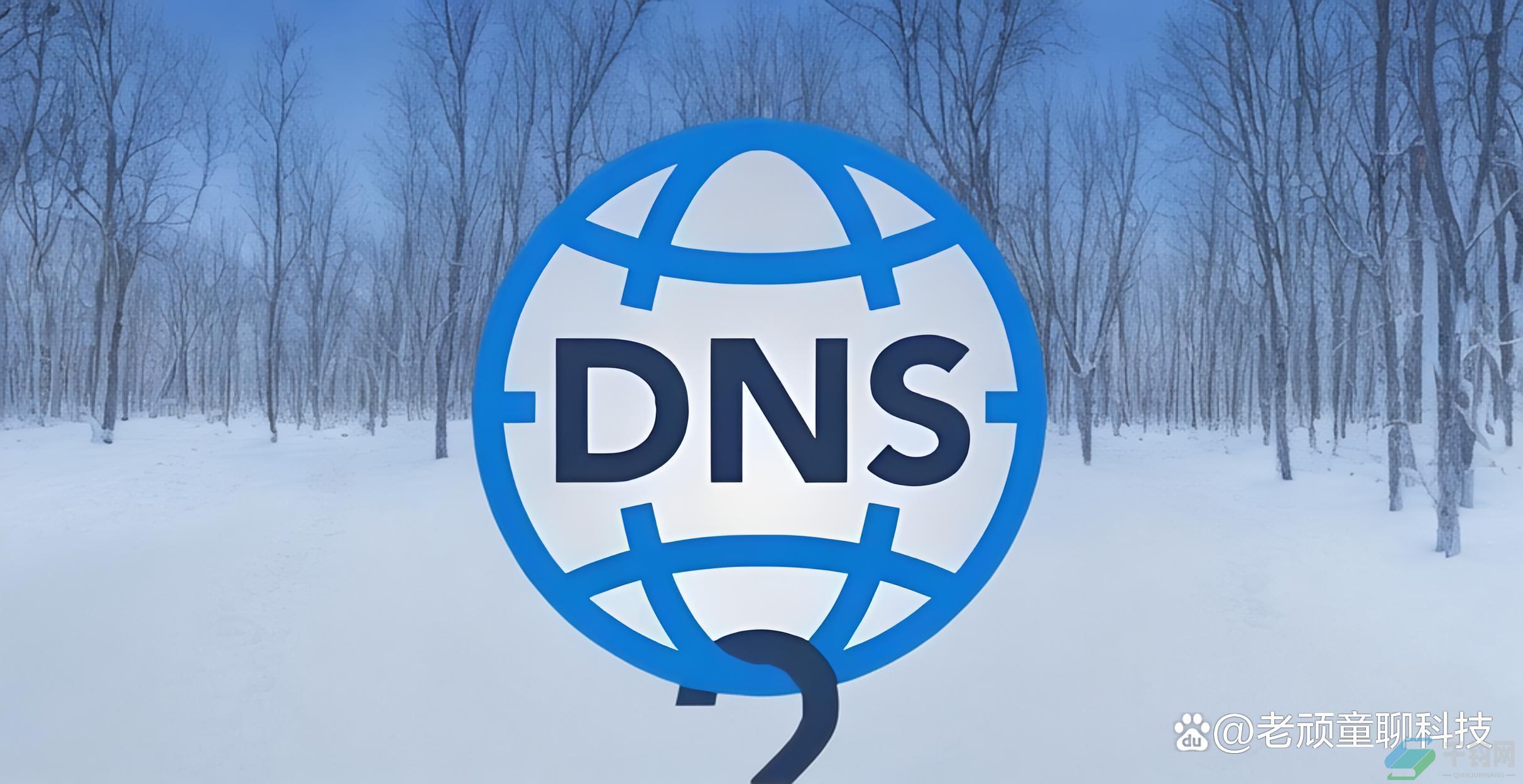 dns大全缩略图 dns大全缩略图